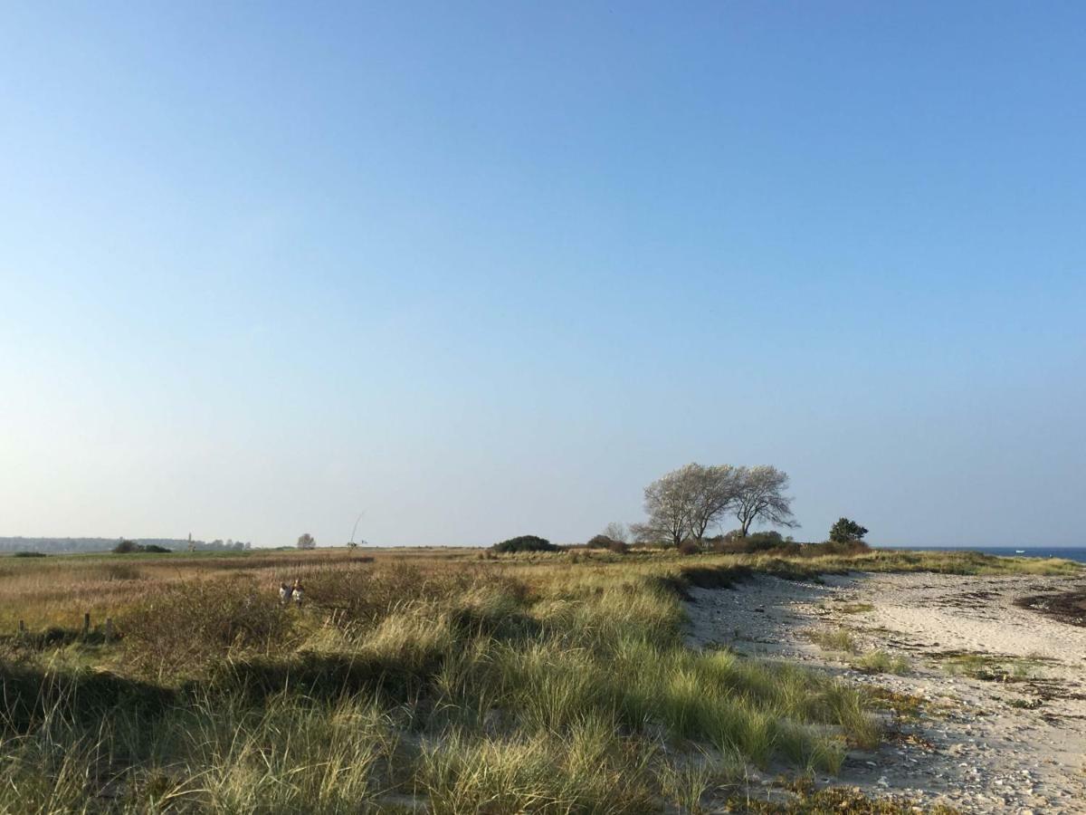Seesucht-Hohwacht - 110Qm Fewo Mit Toller Lage Am Kiefernweg Eksteriør billede